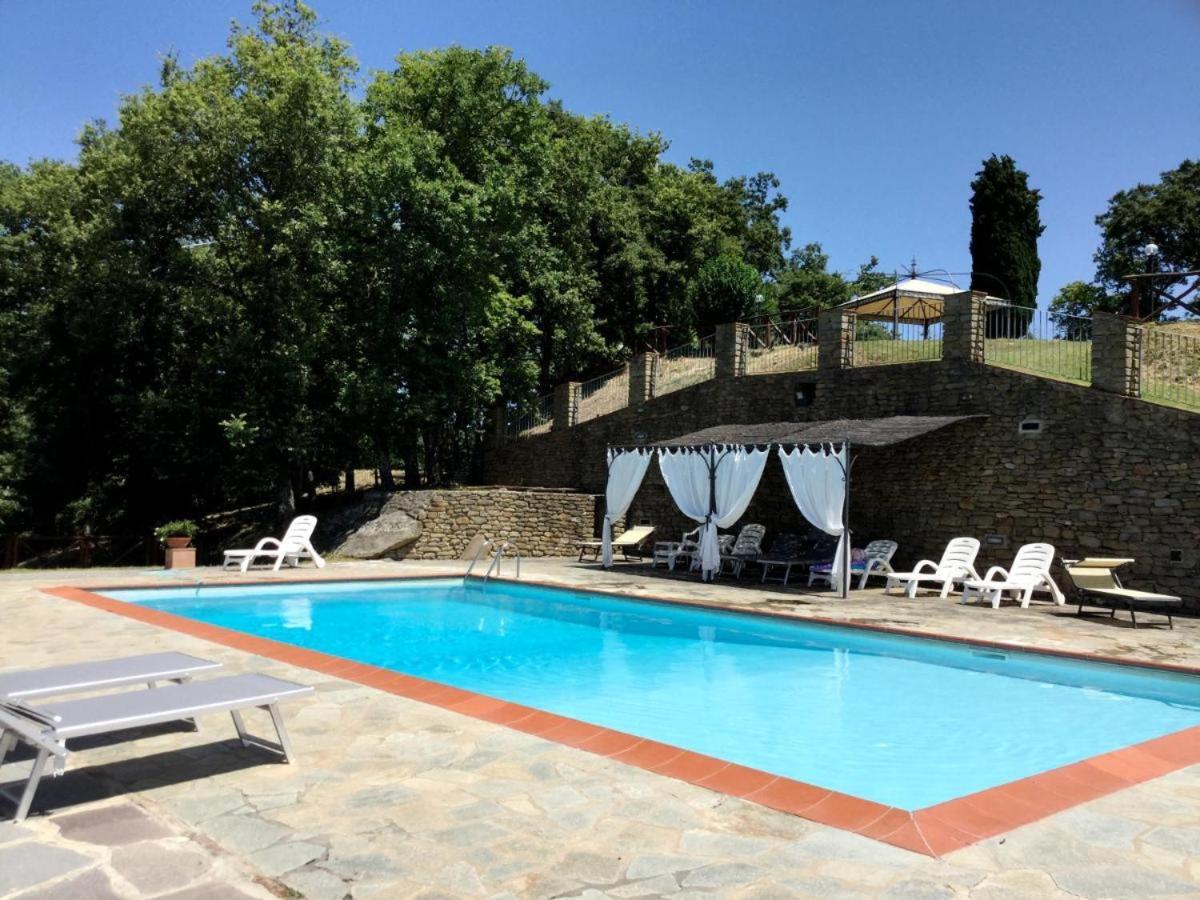 Agriturismo Badia Ficarolo Palazzo del Pero Kültér fotó