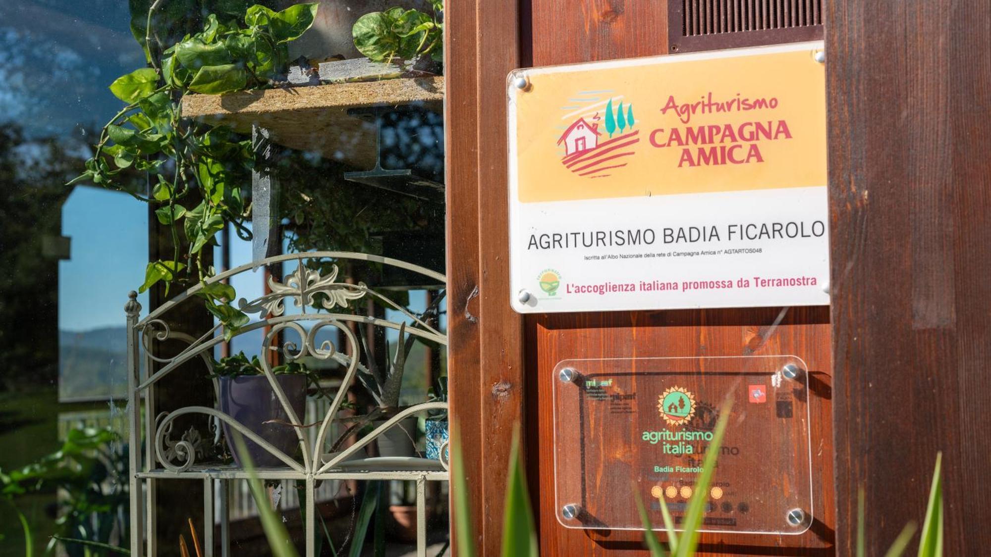 Agriturismo Badia Ficarolo Palazzo del Pero Kültér fotó