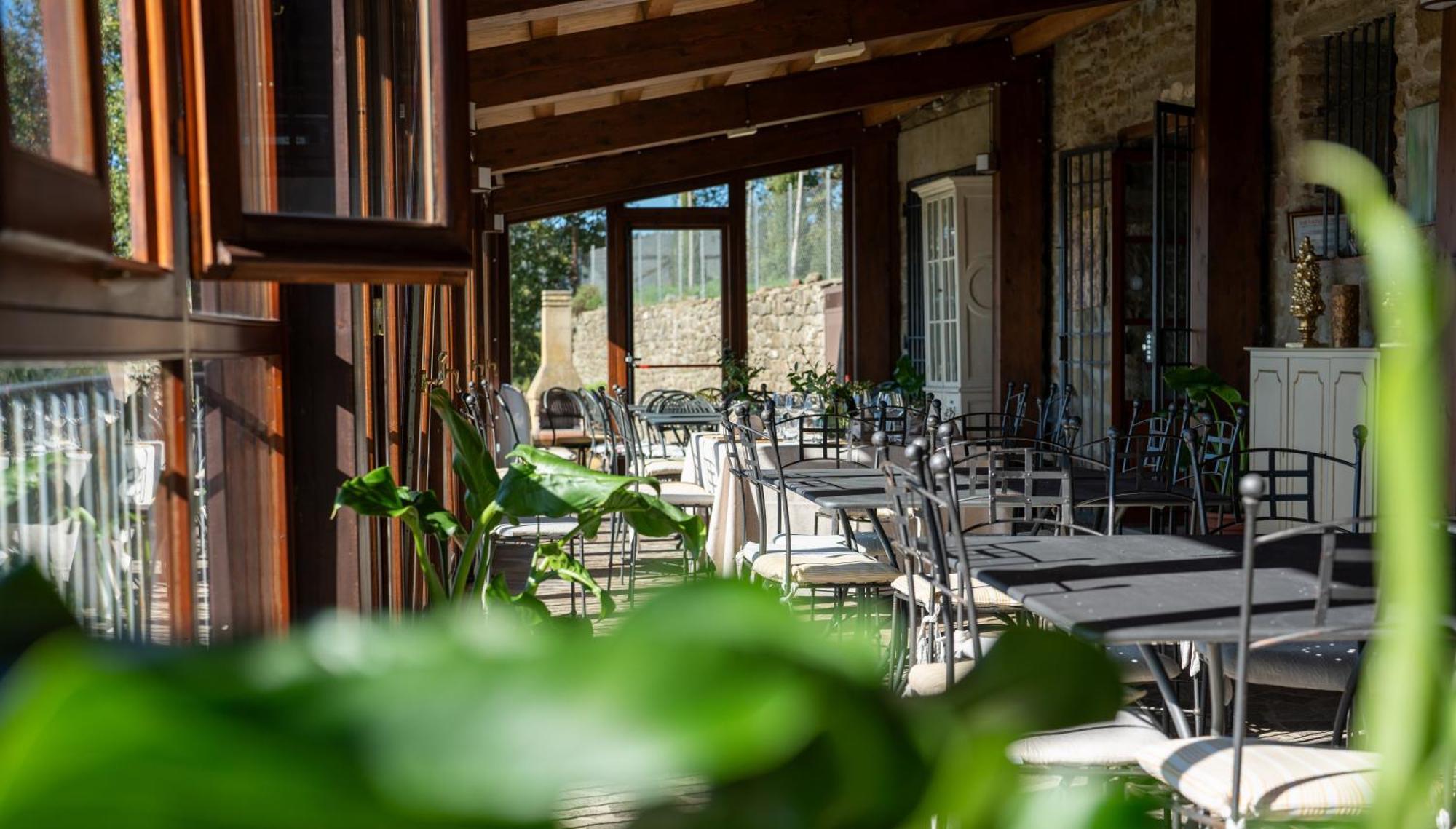 Agriturismo Badia Ficarolo Palazzo del Pero Kültér fotó