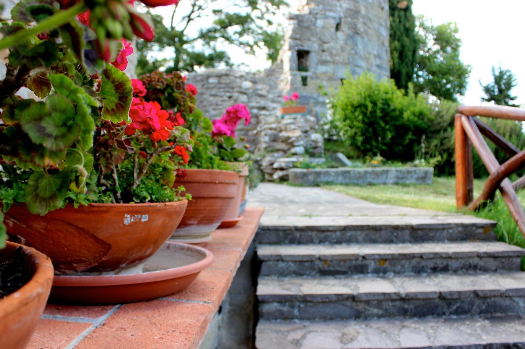 Agriturismo Badia Ficarolo Palazzo del Pero Kültér fotó